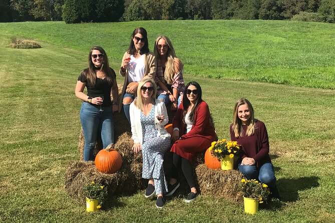 North Georgia Mountains Three Vineyard Wine Tasting Tour - Practical advice before you book