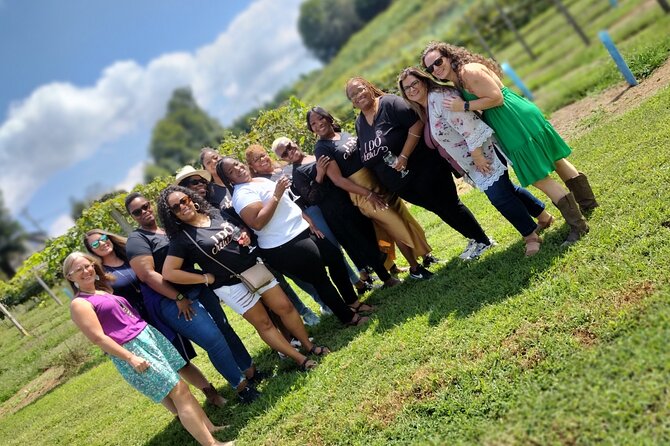 North Georgia Mountains Three Vineyard Wine Tasting Tour - Three winery stops and about 12 tastings