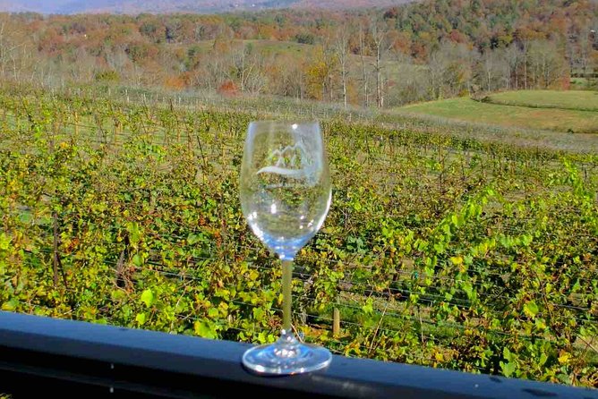 North Georgia Wine Country Tour from Atlanta - Helen gives you time away from the tasting rooms