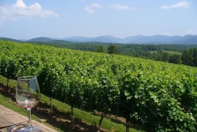 North Georgia Wine Country Tour from Atlanta