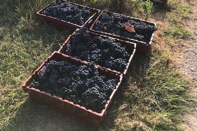 North Texas Wineries & Vineyards Tour & Tastings - Fort Worth: finishing close to the starting point