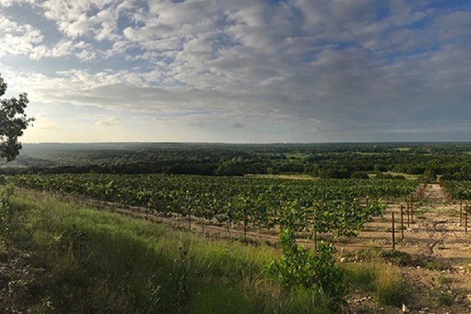 North Texas Wineries & Vineyards Tour & Tastings - Weatherford: a scenic middle stop with more tasting time