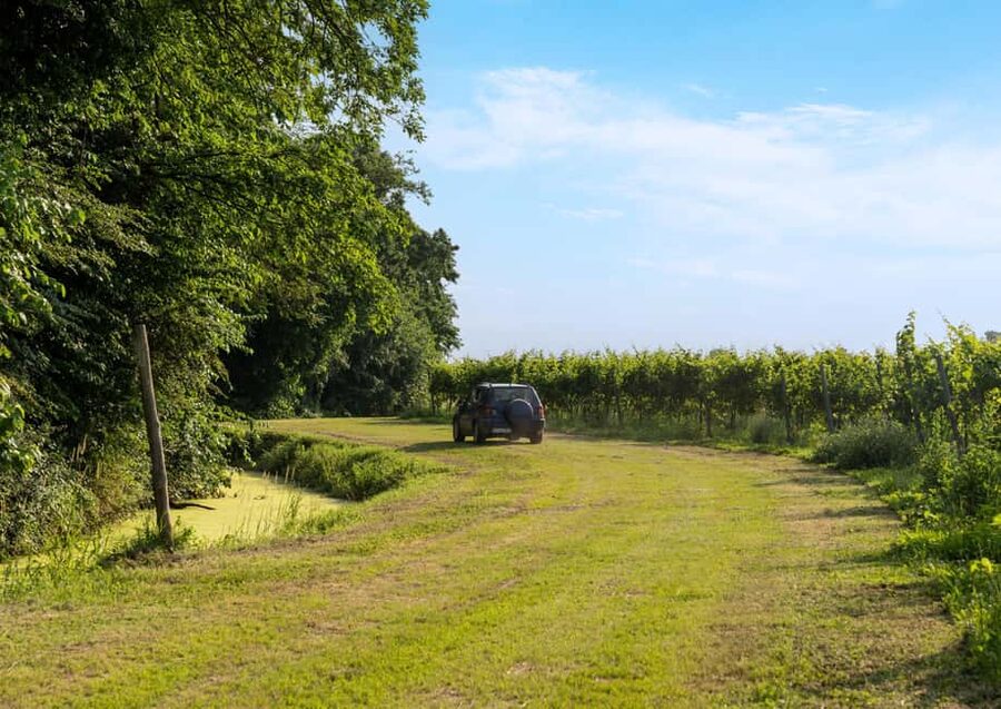 Off-road tour through vineyards and organic wine tasting at Villa Bogdano 1880 - Arriving at Villa Bogdano 1880 near Venice