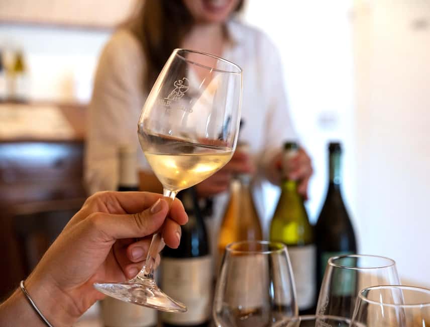 Off-road tour through vineyards and organic wine tasting at Villa Bogdano 1880 - The panoramic terrace at 20 meters
