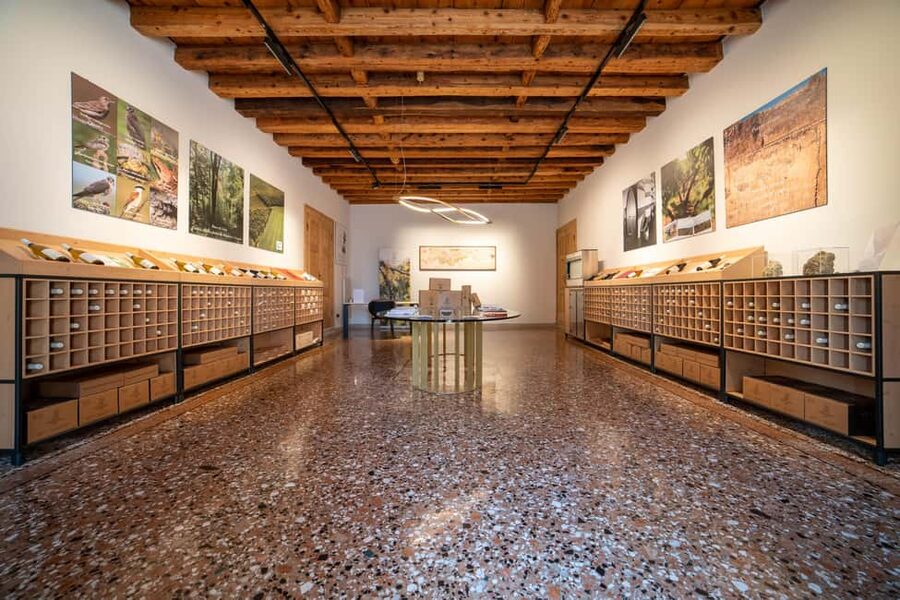 Off-road tour through vineyards and organic wine tasting at Villa Bogdano 1880 - Is $47 a fair price?