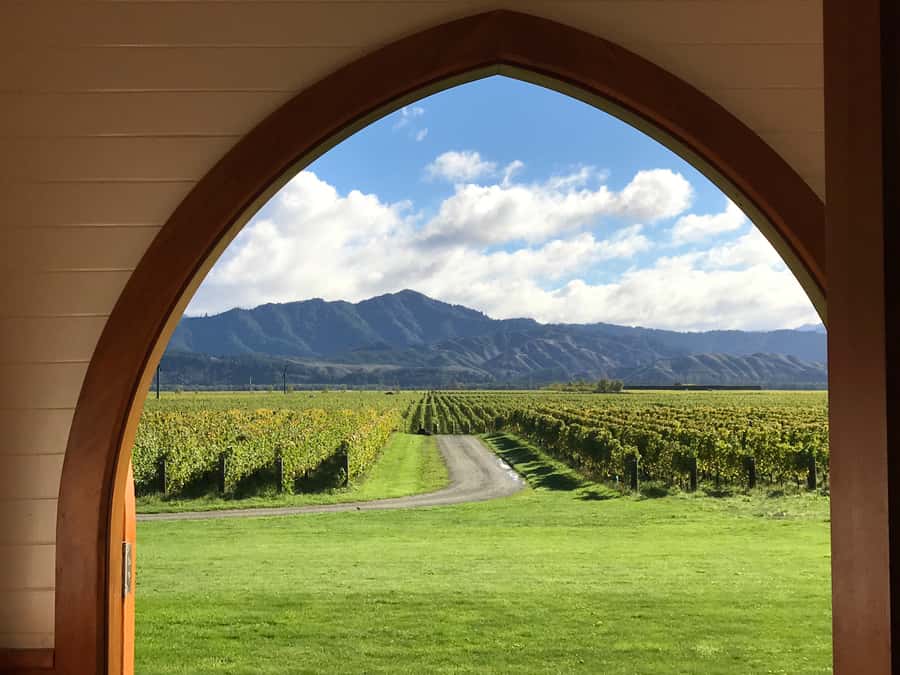 Onshore Highlights of Marlborough's Wine Region from Picton - Should you book it?