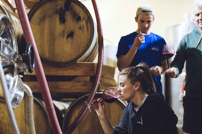 Organic Wine Tasting in the Langhe Hills – Vineyard & Cellar Tour - Why this Langhe wine visit feels personal