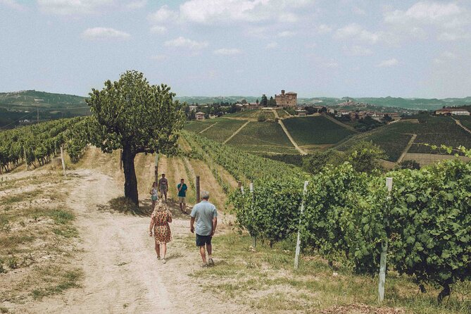 Organic Wine Tasting in the Langhe Hills – Vineyard & Cellar Tour - Who will enjoy this private 90-minute visit