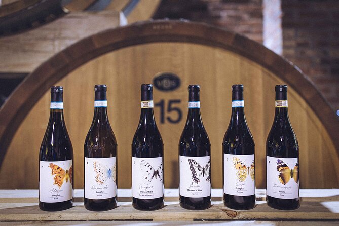 Organic Wine Tasting in the Langhe Hills – Vineyard & Cellar Tour - Starting at Via Carzello 21 in Diano d’Alba