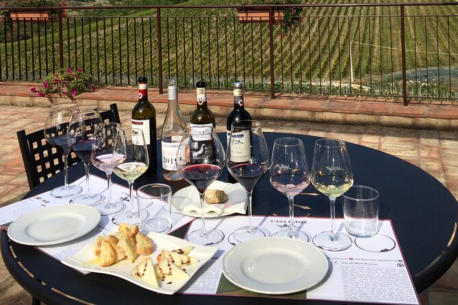 Organic Wine Tour&Tasting overlooking Chianti Classico Vineyards - From grape selection to the Casa Emma cellar