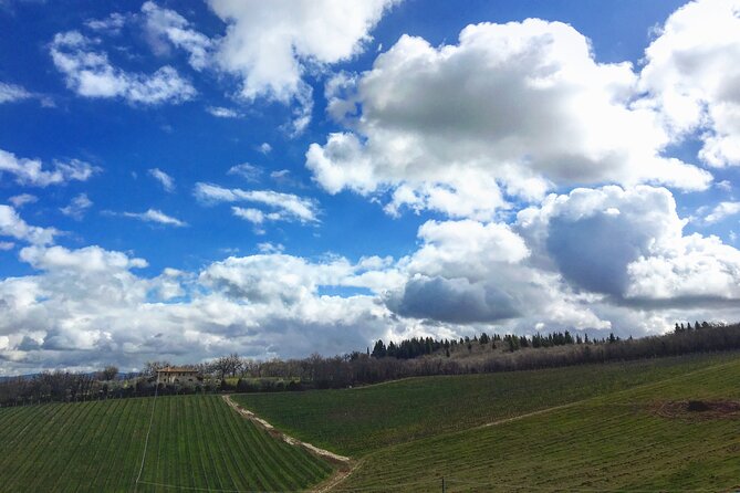 Organic Wine Tour&Tasting overlooking Chianti Classico Vineyards - A friendly, informative presentation
