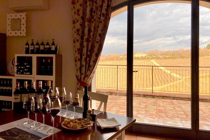 Organic Wine Tour&Tasting overlooking Chianti Classico Vineyards - Is $29.47 a fair price?