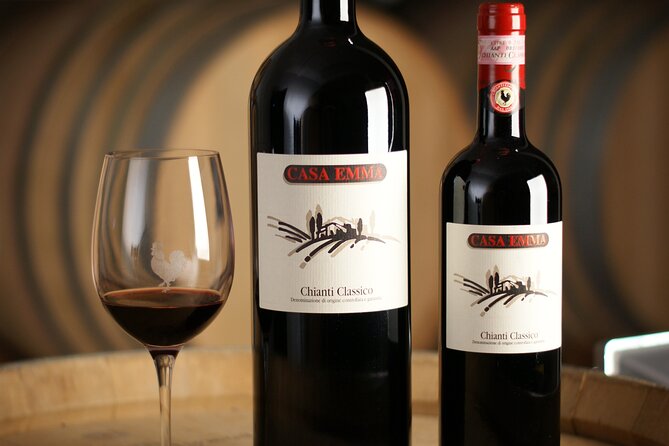 Organic Wine Tour&Tasting overlooking Chianti Classico Vineyards - Who will enjoy this experience most