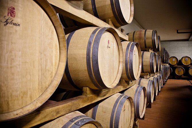 Organic Wine Tour&Tasting overlooking Chianti Classico Vineyards - Practical details before you go