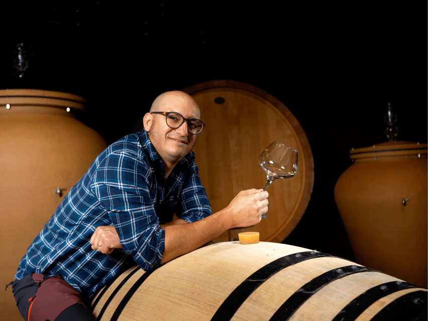 Organic Winery Visit near Turin with Wine & Food Tasting - Key Points At A Glance