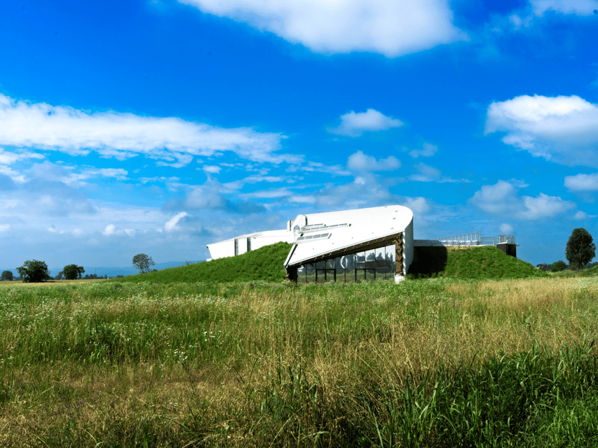 Organic Winery Visit near Turin with Wine & Food Tasting - Cheese, Cured Meat, And Turin’s Grissini