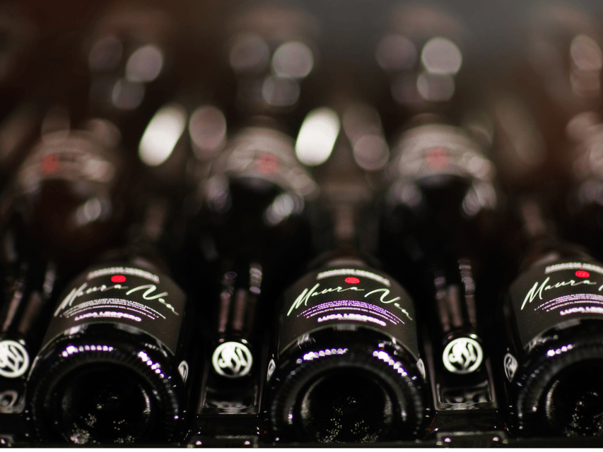 Organic Winery Visit near Turin with Wine & Food Tasting - Who Will Enjoy This Experience Most?