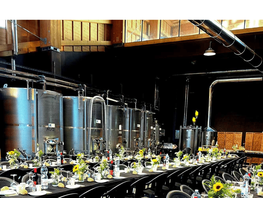 Organic Winery Visit near Turin with Wine & Food Tasting - Practical Details To Know Before Booking