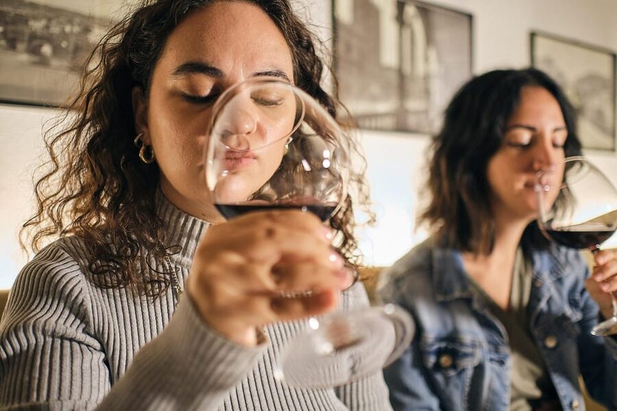 Organic Winery Visit near Turin with Wine & Food Tasting - Finding Cantina Luca Leggero Near Turin