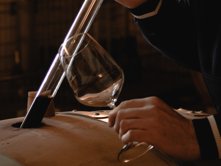 Organic Winery Visit & Wine Tasting with Food in Pavia - Key points to know before you book