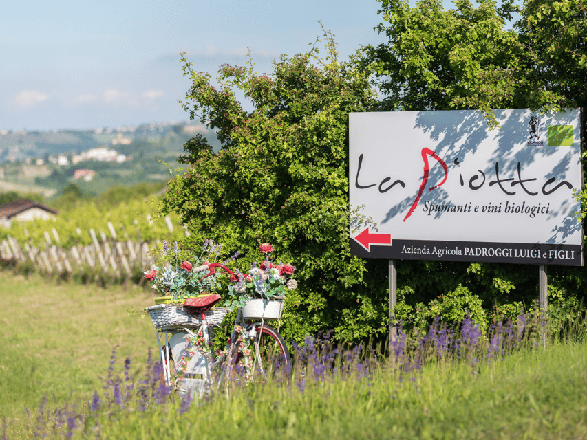 Organic Winery Visit & Wine Tasting with Food in Pavia - Tasting four organic wines with local food