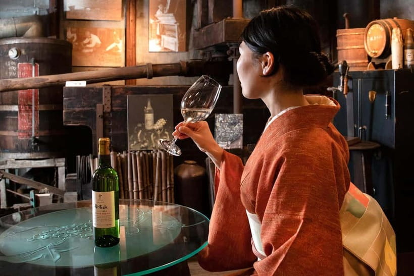 Osaka Winery Tour with Wine Tasting & Vineyard Walk - Inside the 100-year-old aging cellar