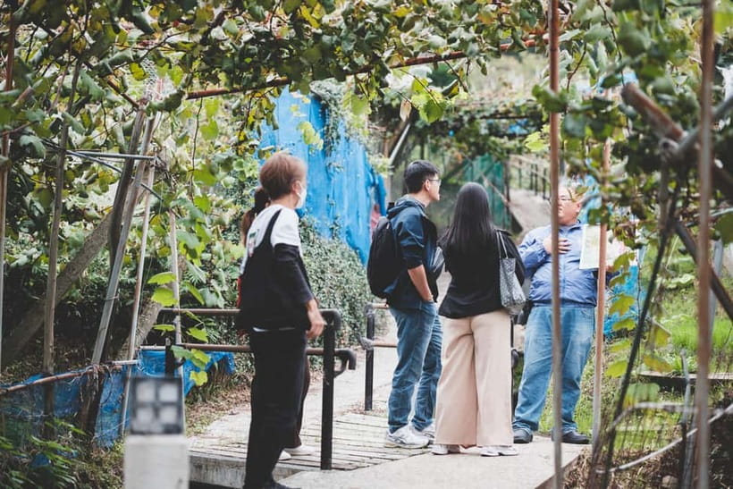 Osaka Winery Tour with Wine Tasting & Vineyard Walk - Who will enjoy this most?