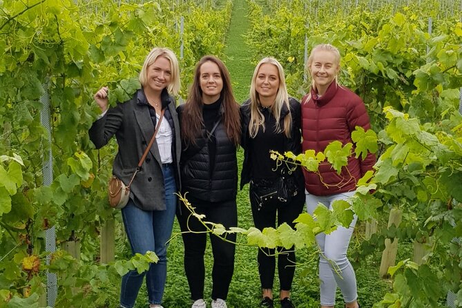 Owners vineyard tour and tasting at Oastbrook - Key things to know before you book