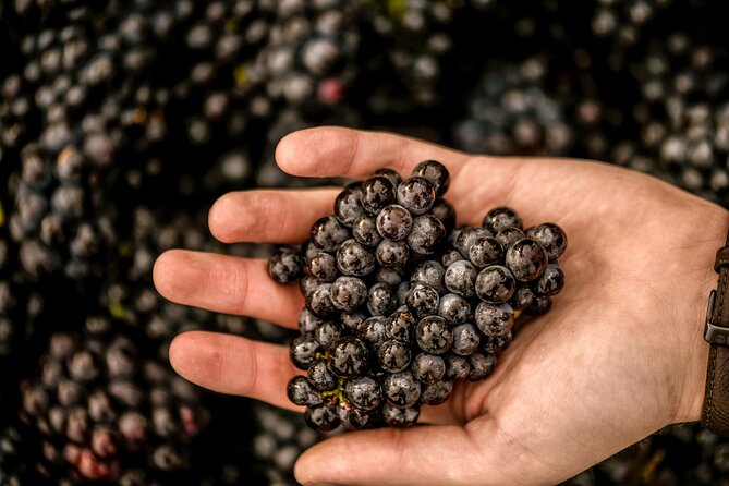 Owners vineyard tour and tasting at Oastbrook - Training your nose before tasting