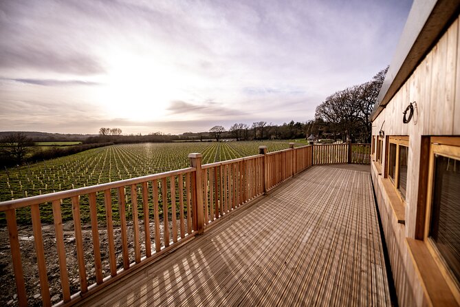 Owners vineyard tour and tasting at Oastbrook - Who will enjoy this private vineyard visit