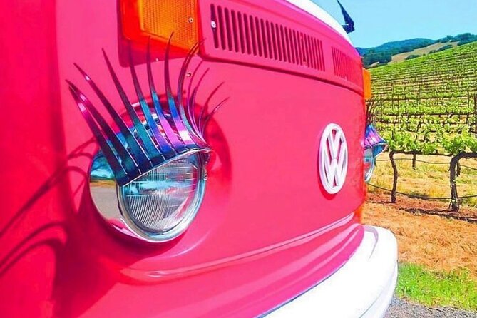Painted Ladies Wine Country Tour - VJB Cellars brings lunch and Italian character