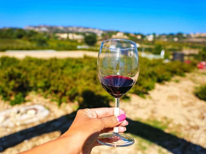 Paphos: Wine Tour – Vineyards, Tastings & Scenic Views - Sterna Winery in Kathikas: the strongest wine stop