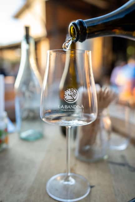 Parma: Visit the Vineyard and Taste 5 Local Wines - What $29 gets you