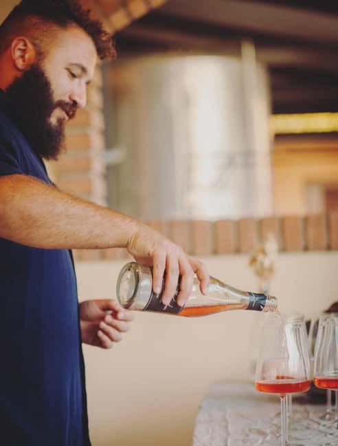Parma: Visit the Vineyard and Taste 5 Local Wines - Who will enjoy this winery visit most