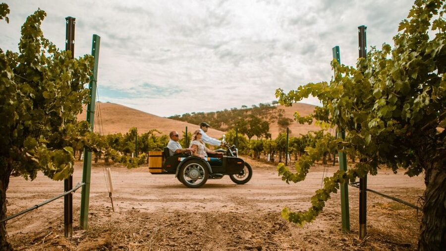 Paso Robles: Scenic Sidecar Vineyard Tour - Scenic Stops Made for Photos