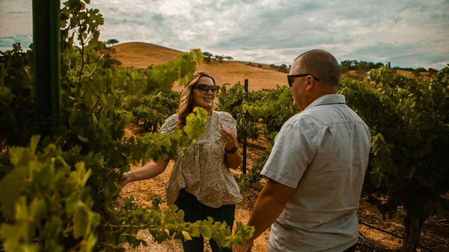 Paso Robles: Scenic Sidecar Vineyard Tour - Meeting at Cass Winery