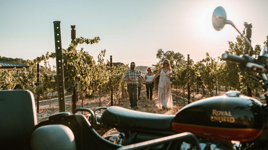 Paso Robles: Sunset at the Vineyards Sidecar Wine Adventure - Forty minutes among the vines