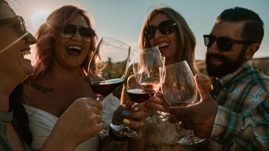 Paso Robles: Sunset at the Vineyards Sidecar Wine Adventure - Who should book this experience?