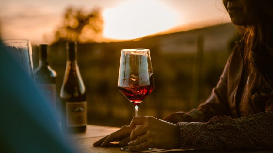 Paso Robles: Vineyard Rides Wine Adventure - Is $55 a fair price?