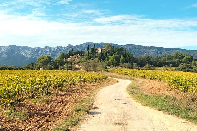 Peaceful Countryside Day : Vineyards, Food & Villages - Puyloubier brings in pétanque and local food