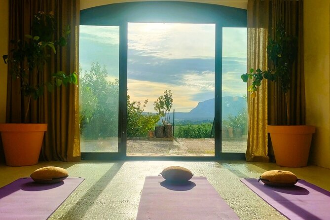 Peaceful Countryside Day : Vineyards, Food & Villages - Who will enjoy this Provence day?