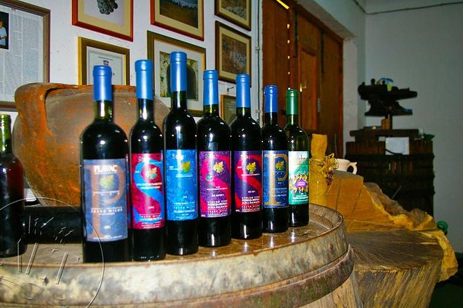 Peljesac Vineyards & Oysters - Private Day Trip from Dubrovnik-Mercedes Vehicle - What the $600.79 price really buys