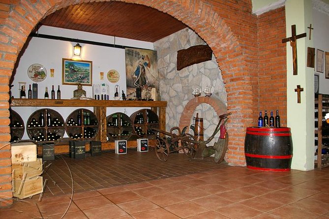 Peljesac Vineyards & Oysters - Private Day Trip from Dubrovnik-Mercedes Vehicle - Who will enjoy this private day most