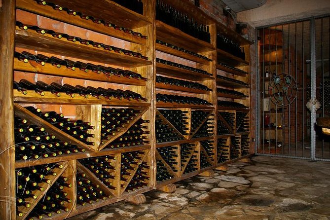 Peljesac Vineyards & Oysters - Private Day Trip from Dubrovnik-Mercedes Vehicle - Timing, clothing, and booking cautions