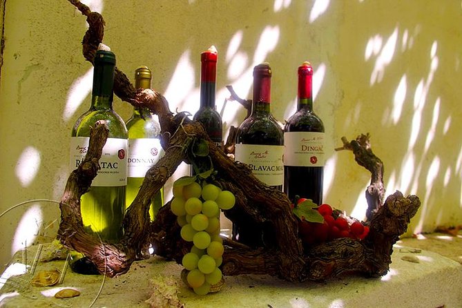 Peljesac Vineyards & Oysters - Private Day Trip from Dubrovnik-Mercedes Vehicle - Ston walls and salt flats in a short first stop