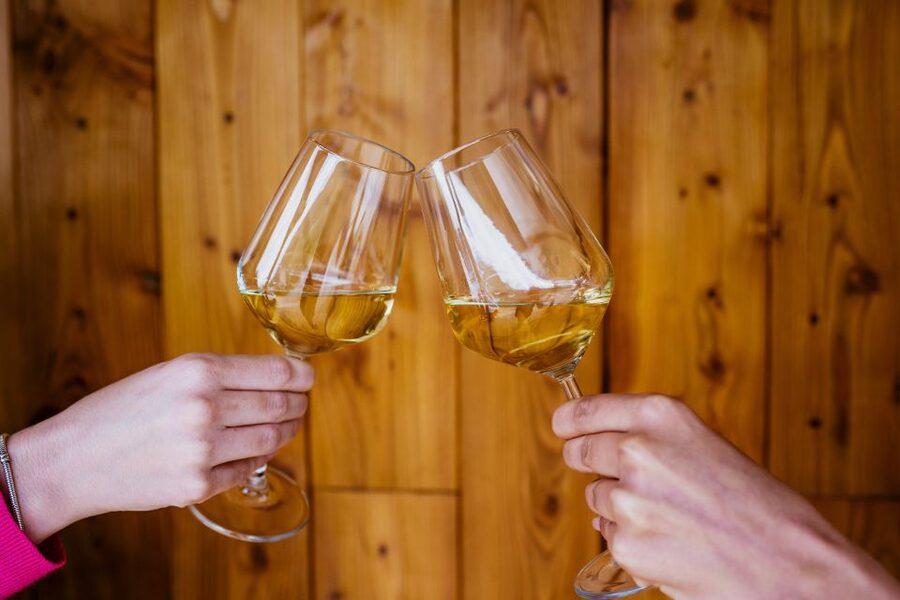 Pelješac wine tasting and local winery visit - Why Pelješac is Croatia’s wine country