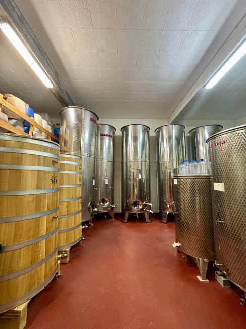 Pelješac wine tasting and local winery visit - The winery tour: useful, but not a long technical visit