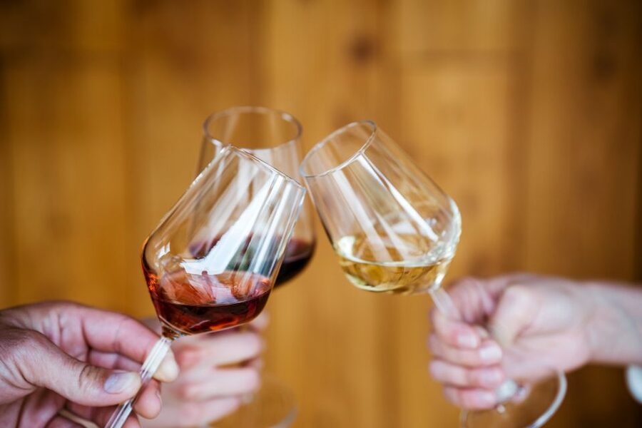 Pelješac wine tasting and local winery visit - Four wines, fruit liqueurs, and local food