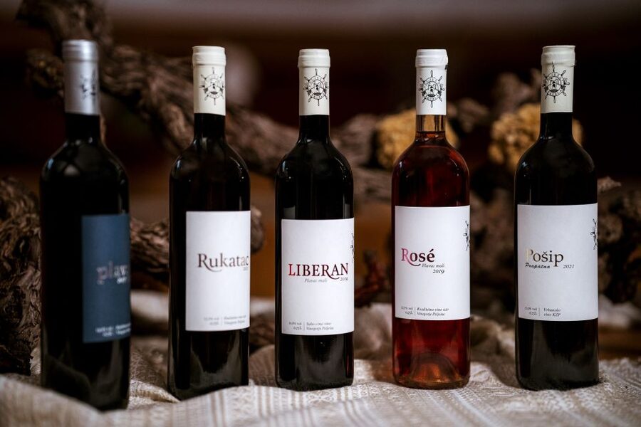 Pelješac wine tasting and local winery visit - What makes the tasting feel local