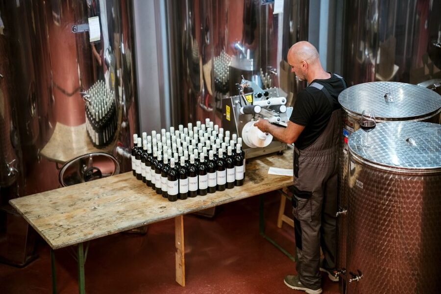 Pelješac wine tasting and local winery visit - Is $43 a fair price?